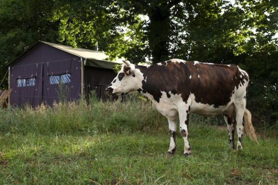 Slapen op een boerderij in Bretagne