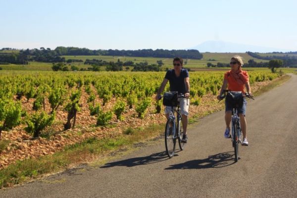 Wijngaarden-Mooiste-fietsroutes-van-de-Vaucluse-in-Frankrijk