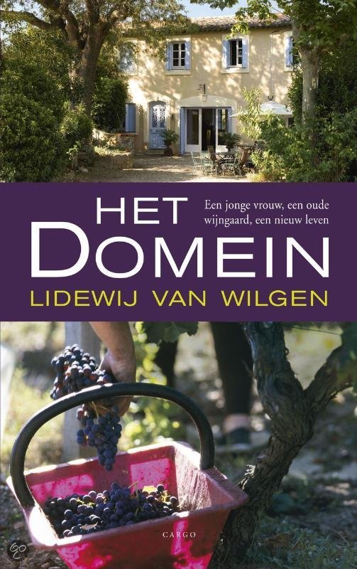 het-domein-lidewij-van-wilgen-boek-cover