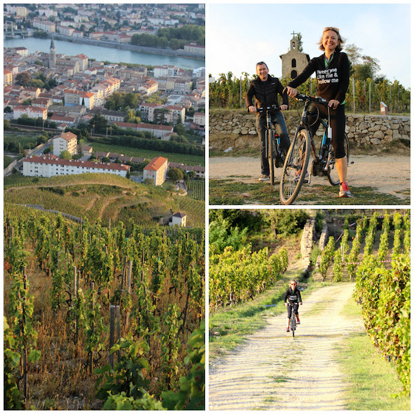 -mountainbike door de wijngaarden van de Rhonevallei langs de ViaRhona