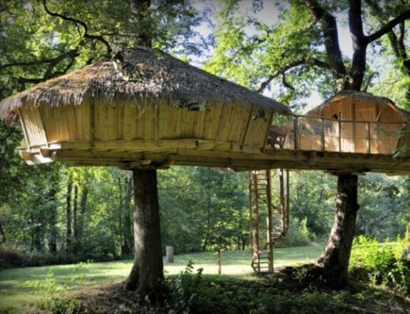 Glamping in een boomhut