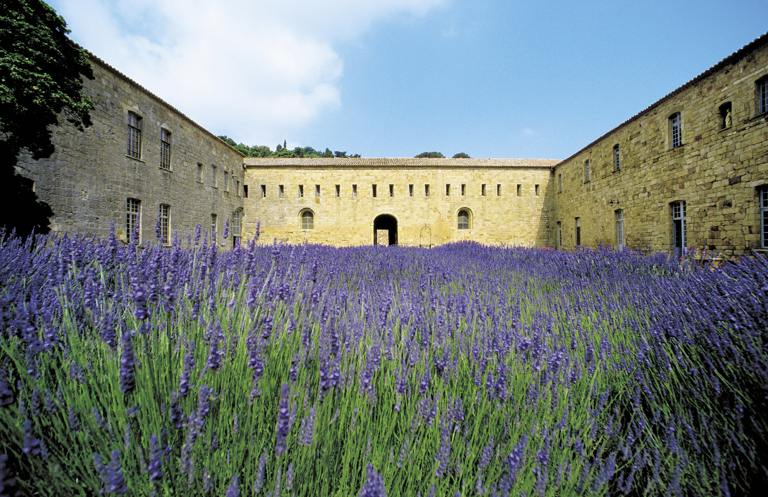 abbaye de fontfroide narbonne languedoc