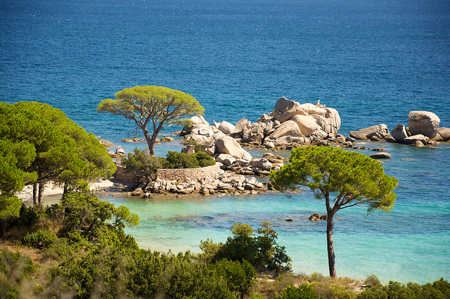 Mooiste-Franse-stranden-Palombaggia-Corsica