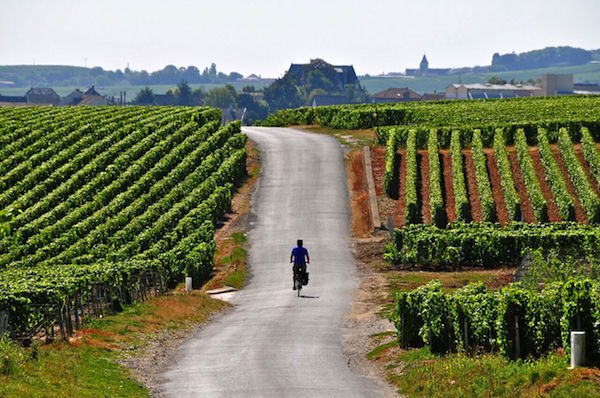 fietsen door de wijngarden