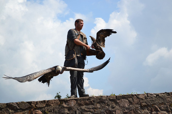 La Volerie des Aigles