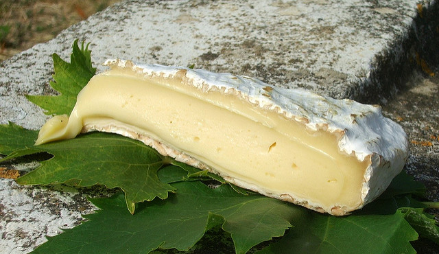 brie-de-melun-tour-de-fromage-cc-jenifer