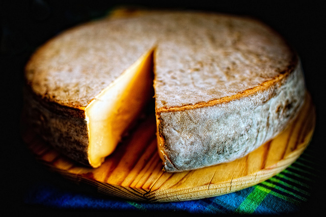 Sainte-nectaire fromage kaas Cantal Auvergne lekkerste kazen uit Frankrijk halfgare