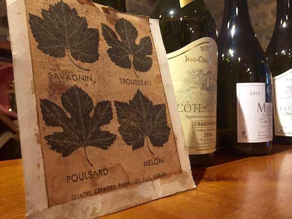 Savagnin druif uit de Jura, verschillende soort druiven voor verschillende wijnen uit de Jura