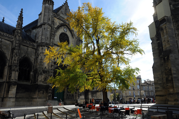 Aussicht von der Terrasse des Le Marhaba, wo sogar Bürgermeister Alain Juppé zum Essen vorbeischaut.