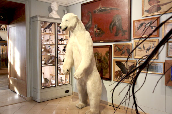musea parijs marais musee de la chasse