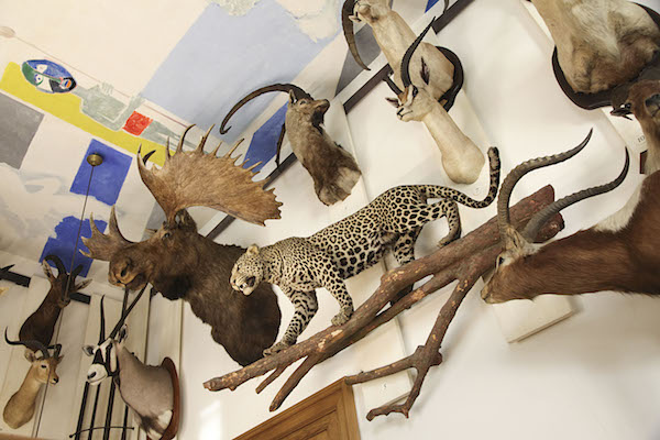musea parijs marais musee de la chasse