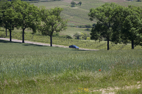 A la campagne France- Nicky