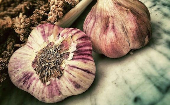 knoflook
