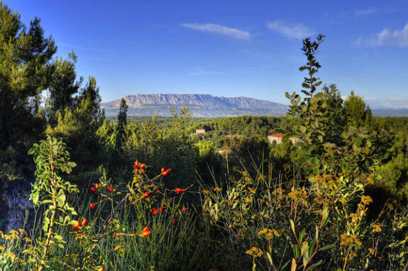 Sainte-Victoire, een uitgestrekt kalksteenmassief