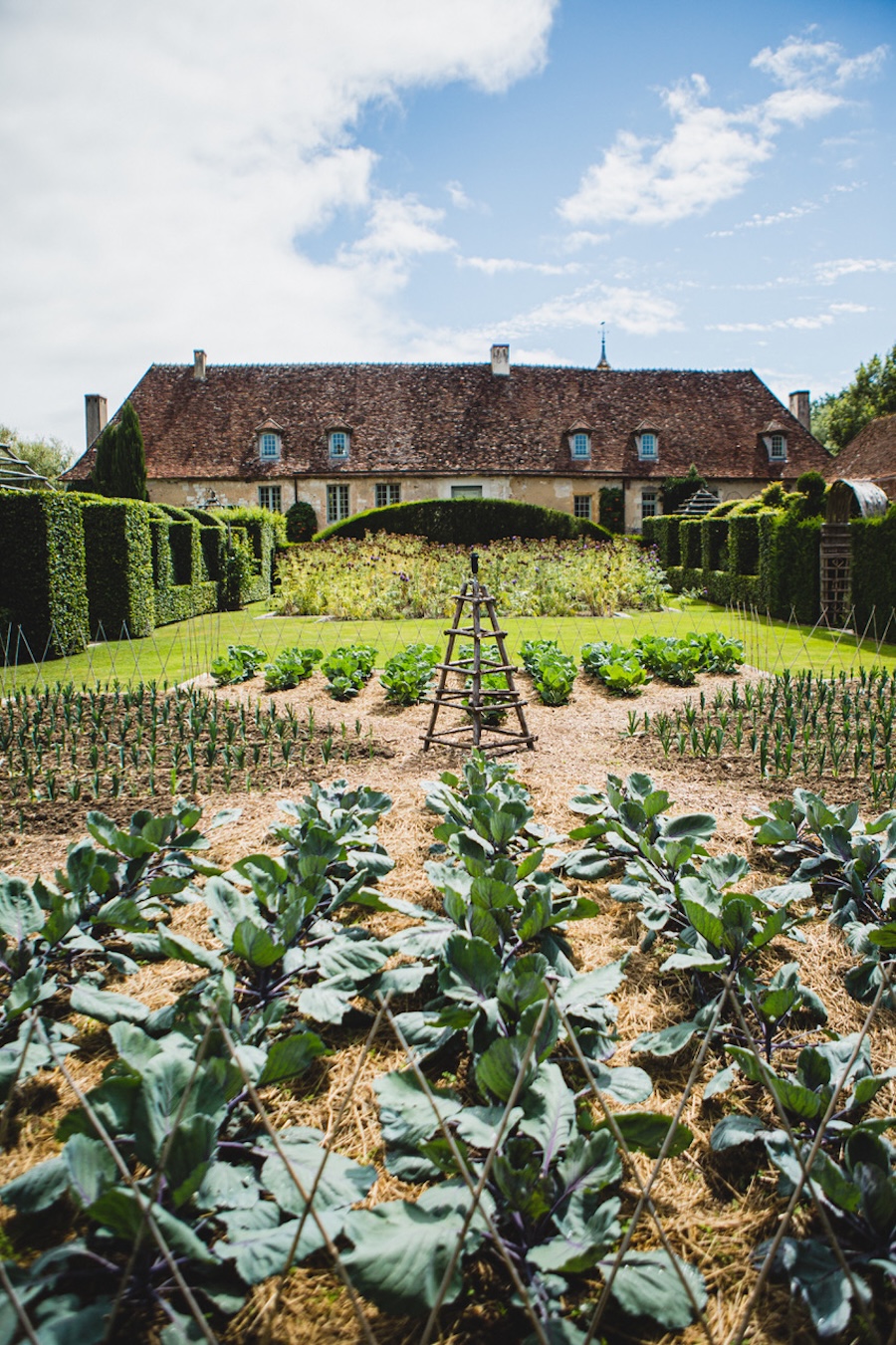 Les Jardins du Prieuré d'Orsan