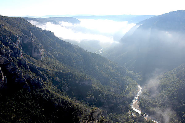 Gorges du Tarn