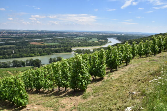 Auvergne Le Pilat uitzicht