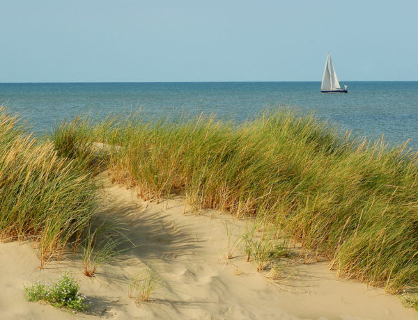 Op strandvakantie in Frankrijk Dit is de dichtstbijzijnde badplaats