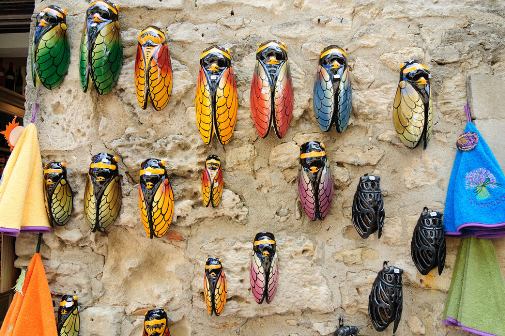 Provence cicaden krekels