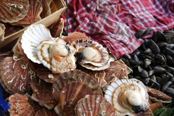 coquilles seizoensproducten herfst Franse markt