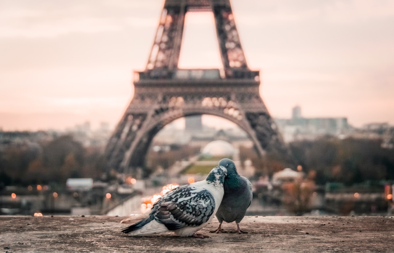 zoenen voor de Eiffeltoren