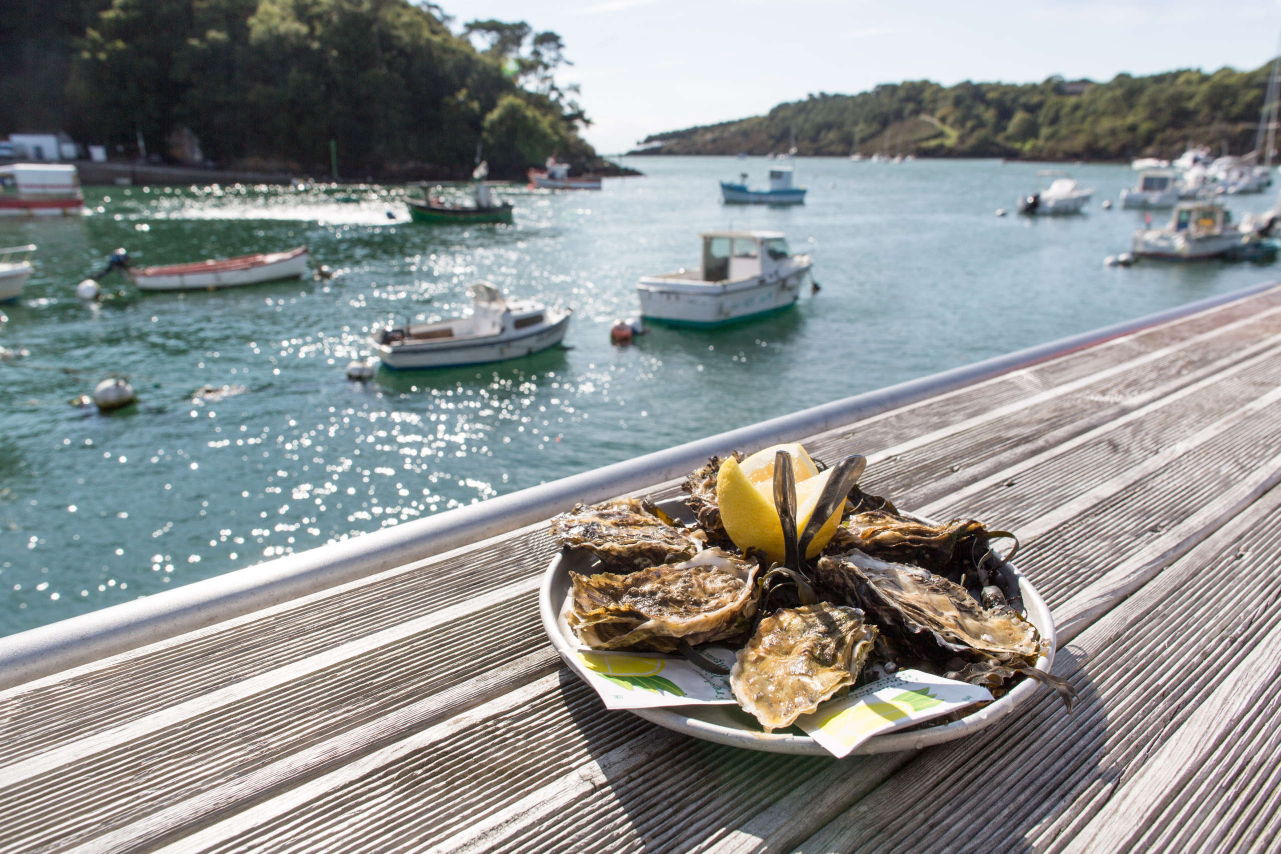 platte oesters in Belon
