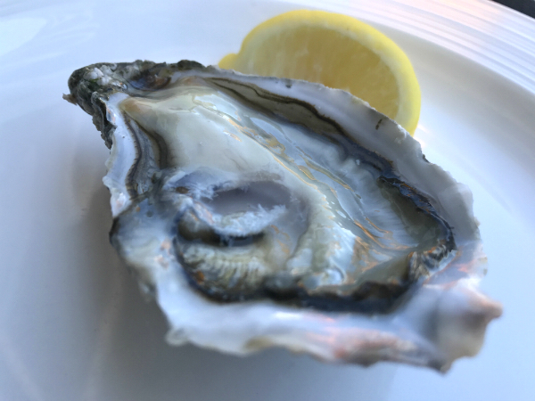 oesters Marennes Charente-Maritime
