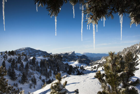 Plateaux-Haut-Vercors