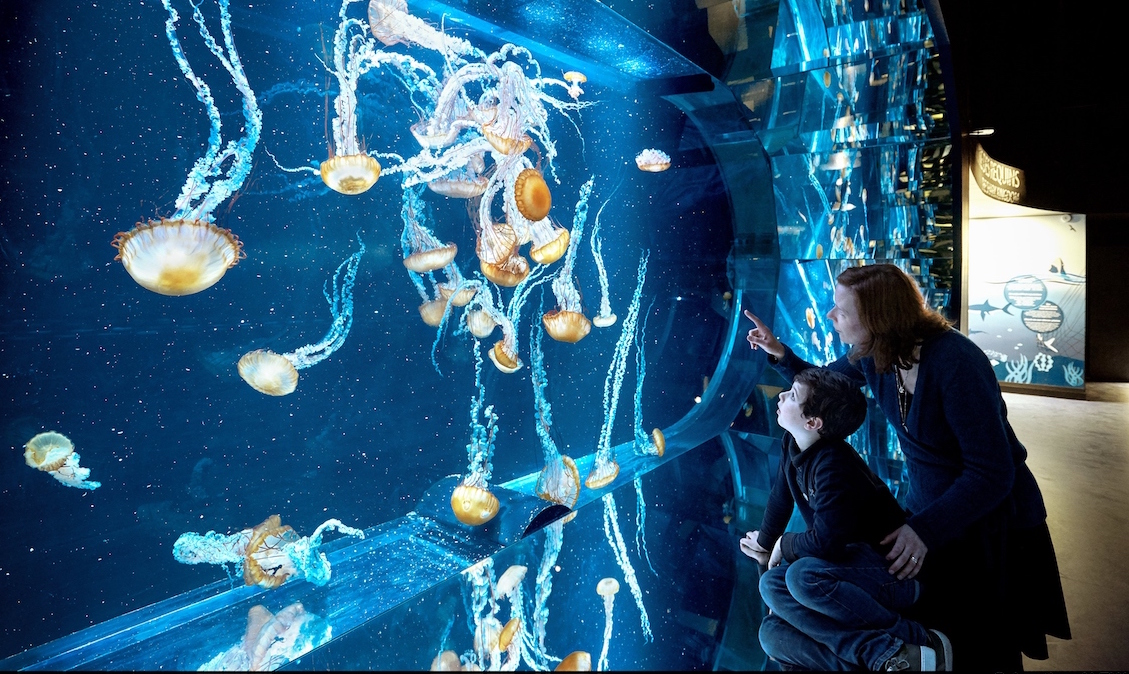 Aquarium Nausicaa Boulogne sur mer