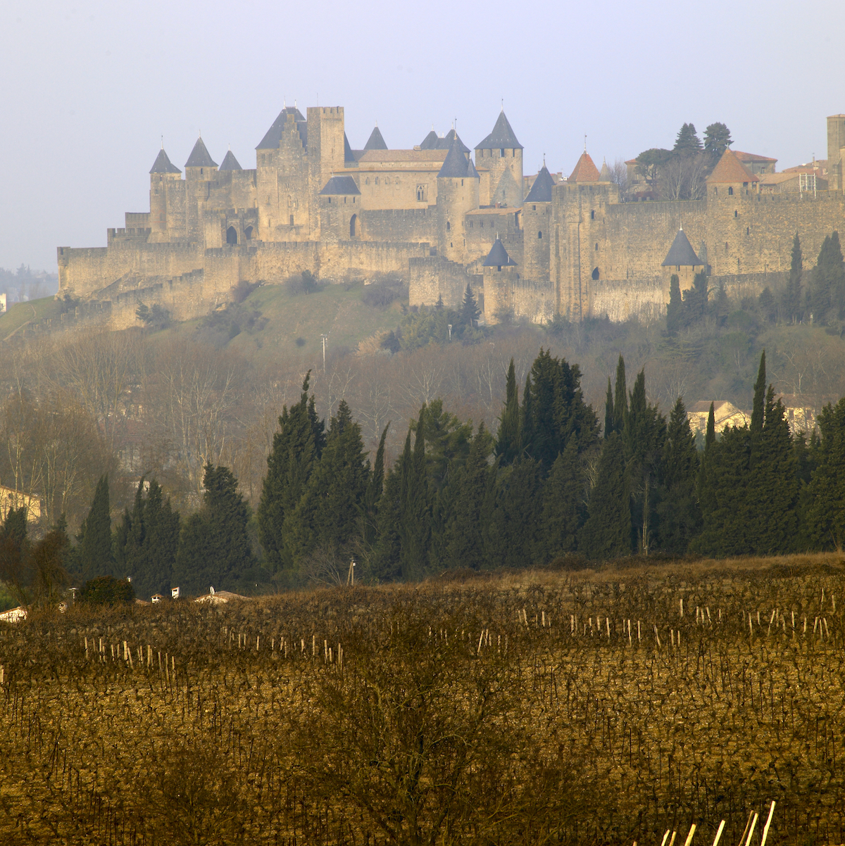 Carcassonne winter