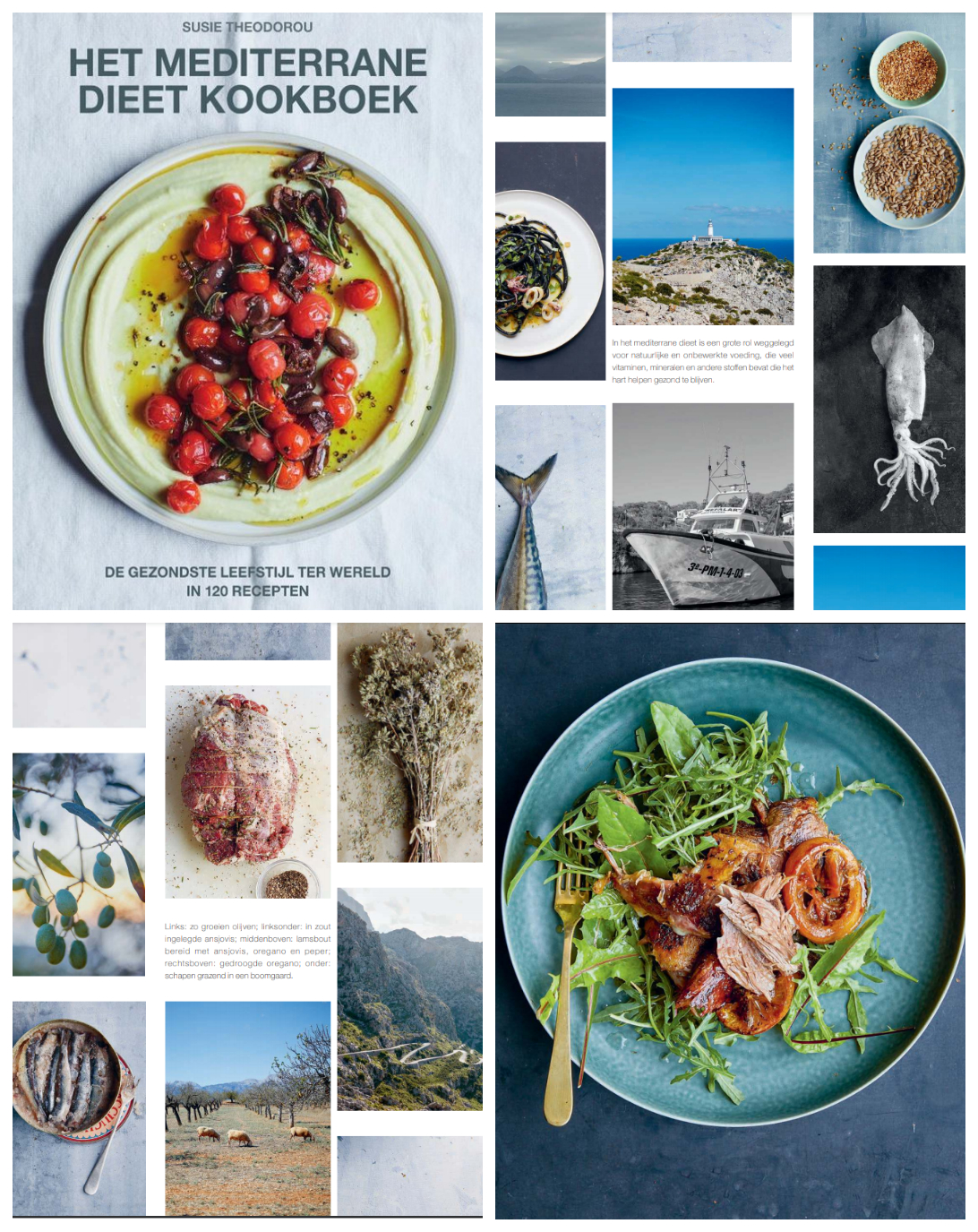 Mediterraan dieet kookboek