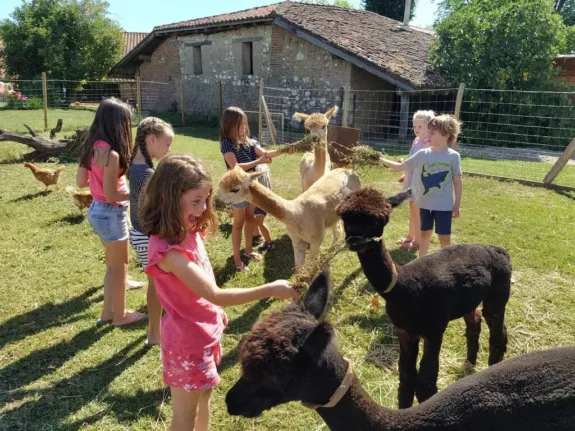 Glamping bij een alpacahoeve in de Lot-et-Garonne