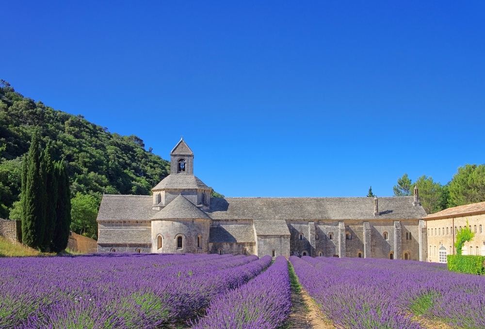 abdij Senanque Provence