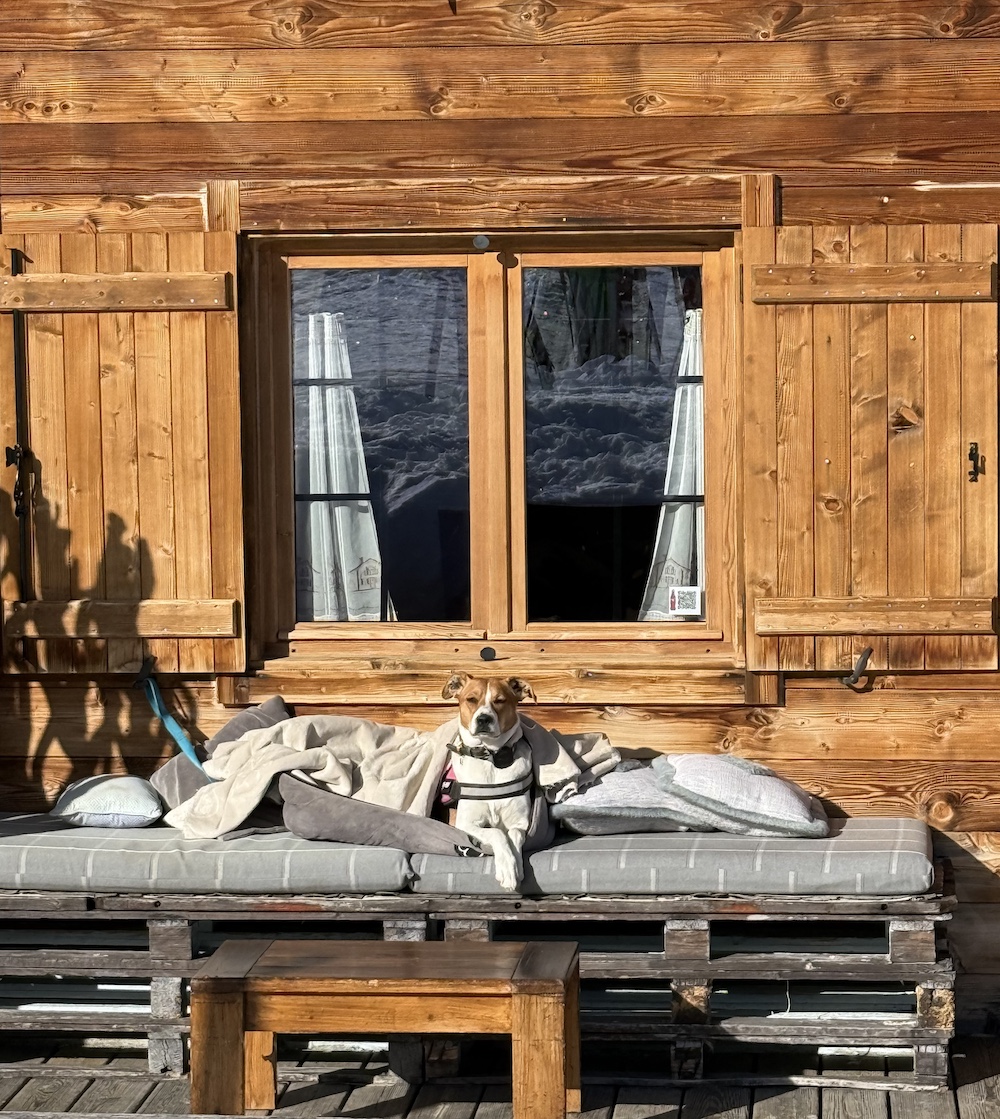 Restaurant Chalet Plan du Bois -Montchavin skigebied La Plagne