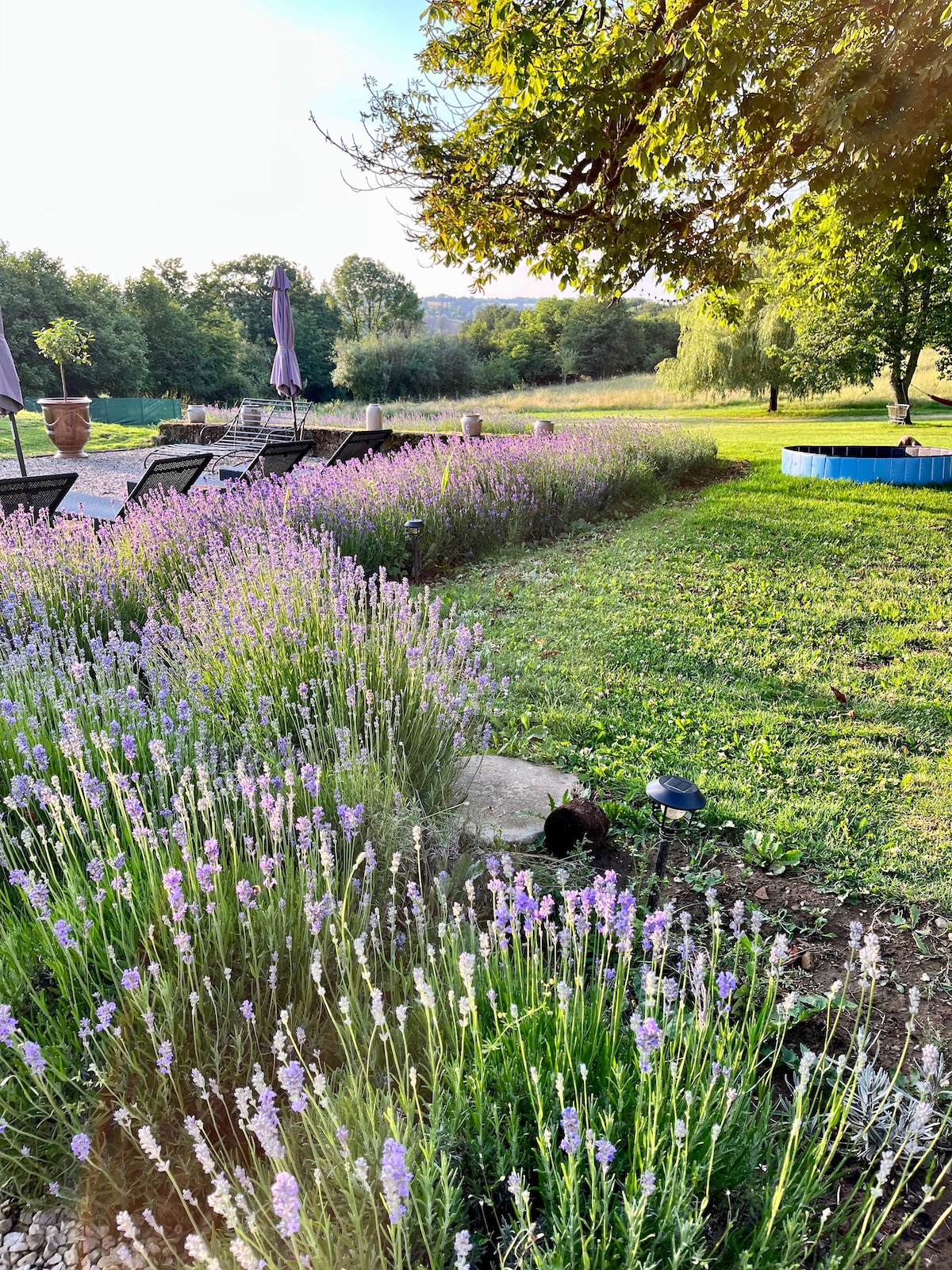 Lys d'Avril vakantiehuis romantisch platteland grote tuin