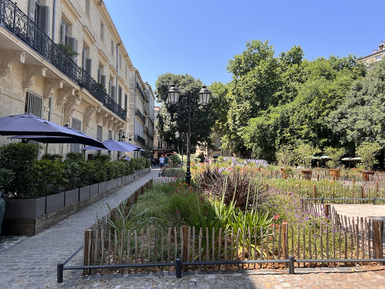 Richer de Belleval Montpellier