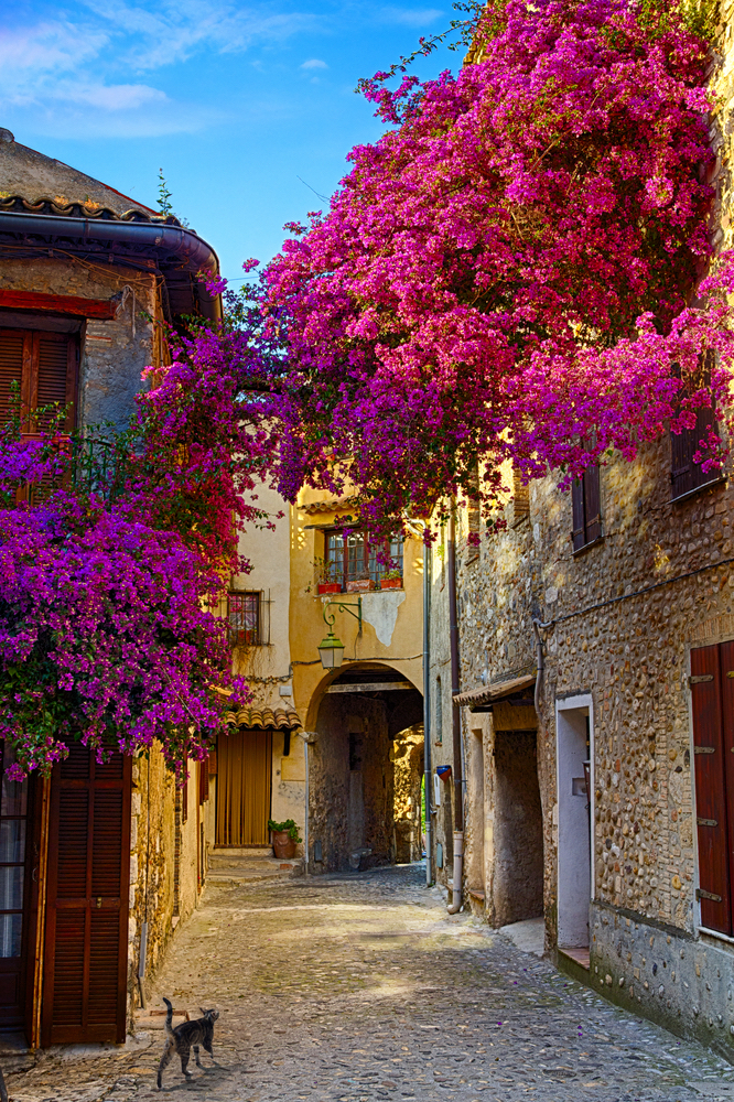Provence - dorpje