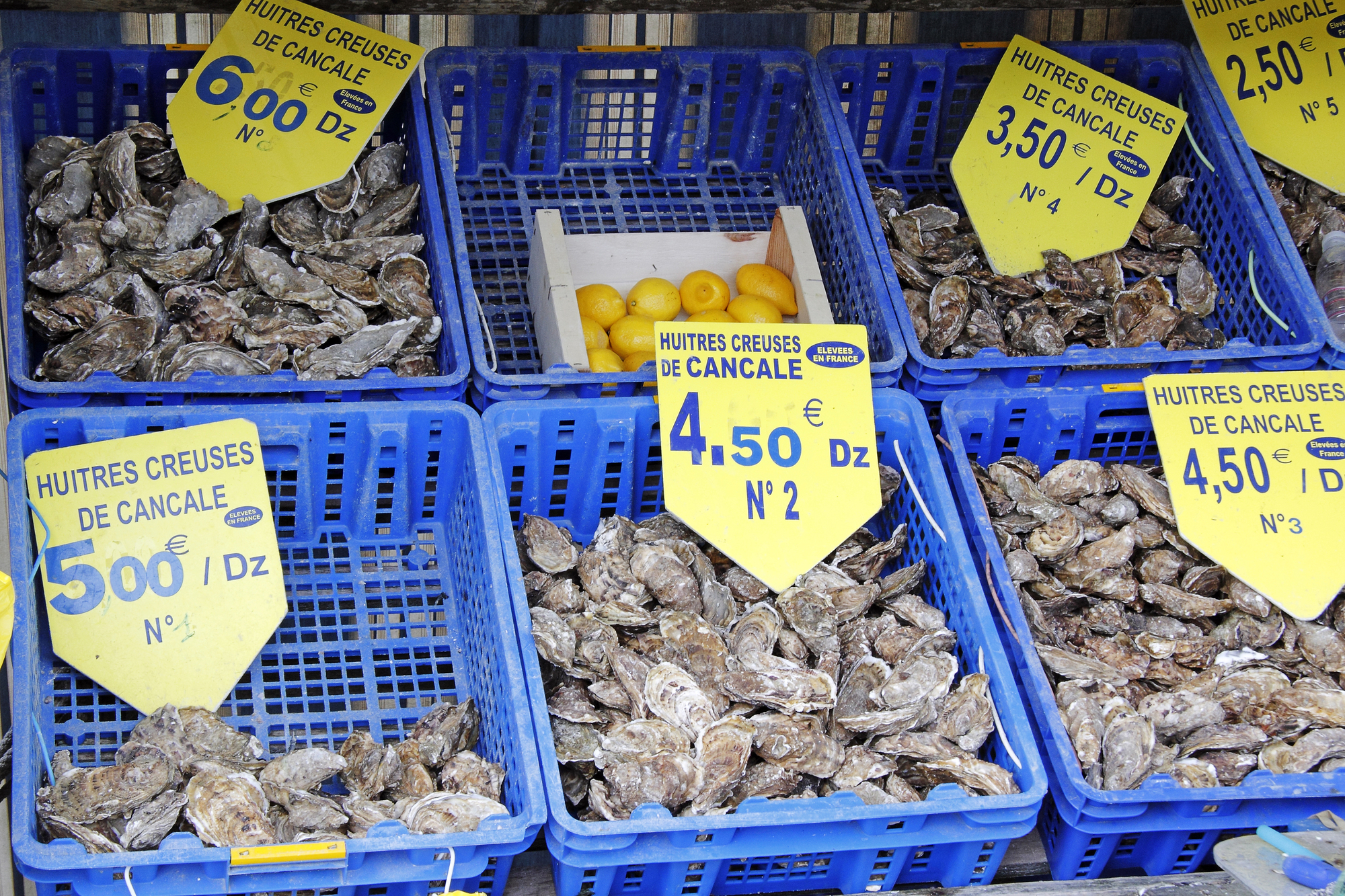 oesters kopen op de markt frankrijk