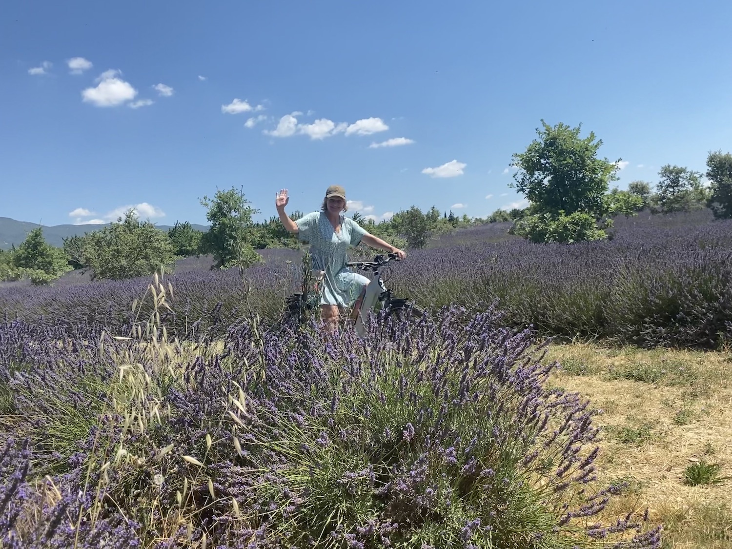 Fietsen door lavendelvelden Luberon Provence