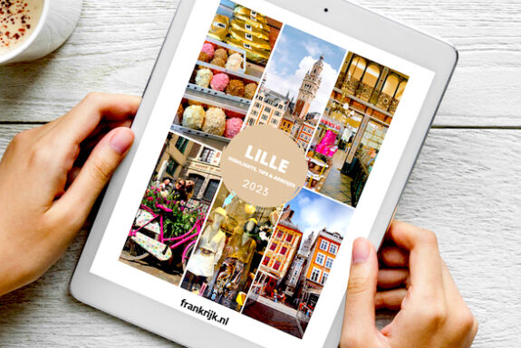 Ebook Lille