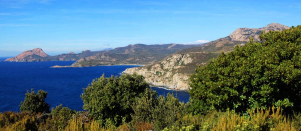 De mooiste rondreizen op Corsica