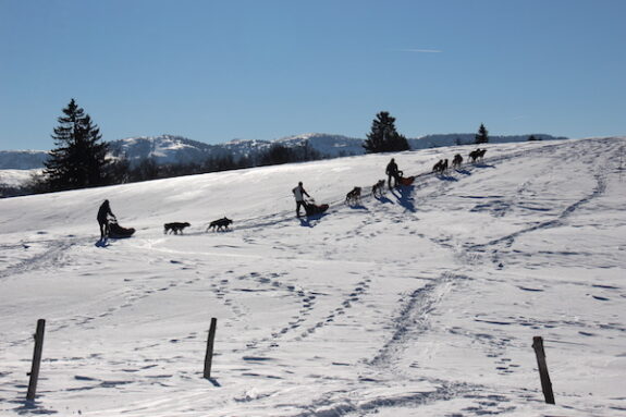 Wintersport in de Jura, een Scandinavische ervaring!