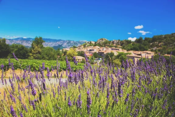 Provence