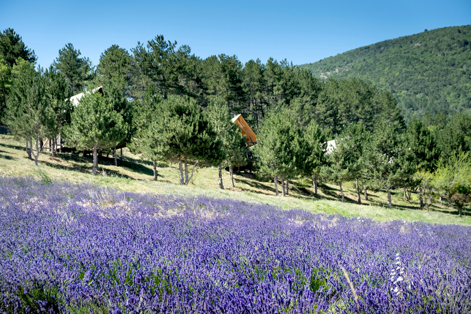 Huttopia Dieulefit in de Drôme