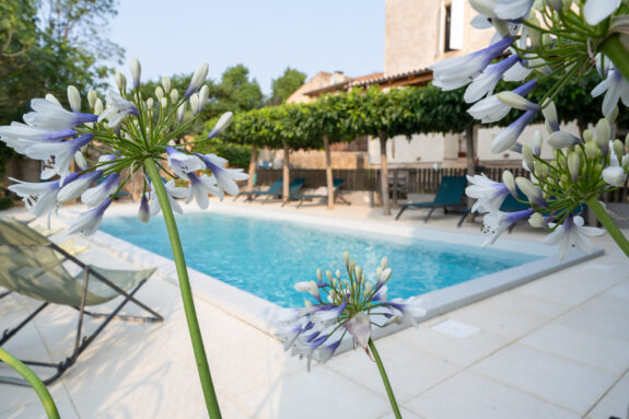 B&B La Souche zwembad
