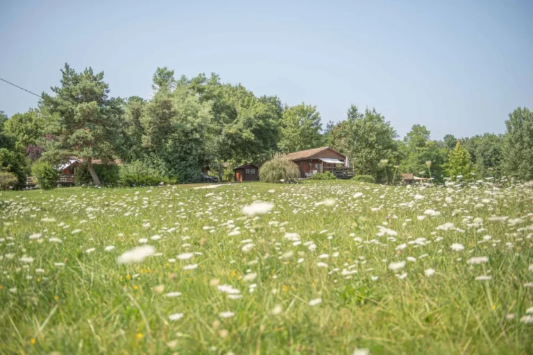 Charme Lodges