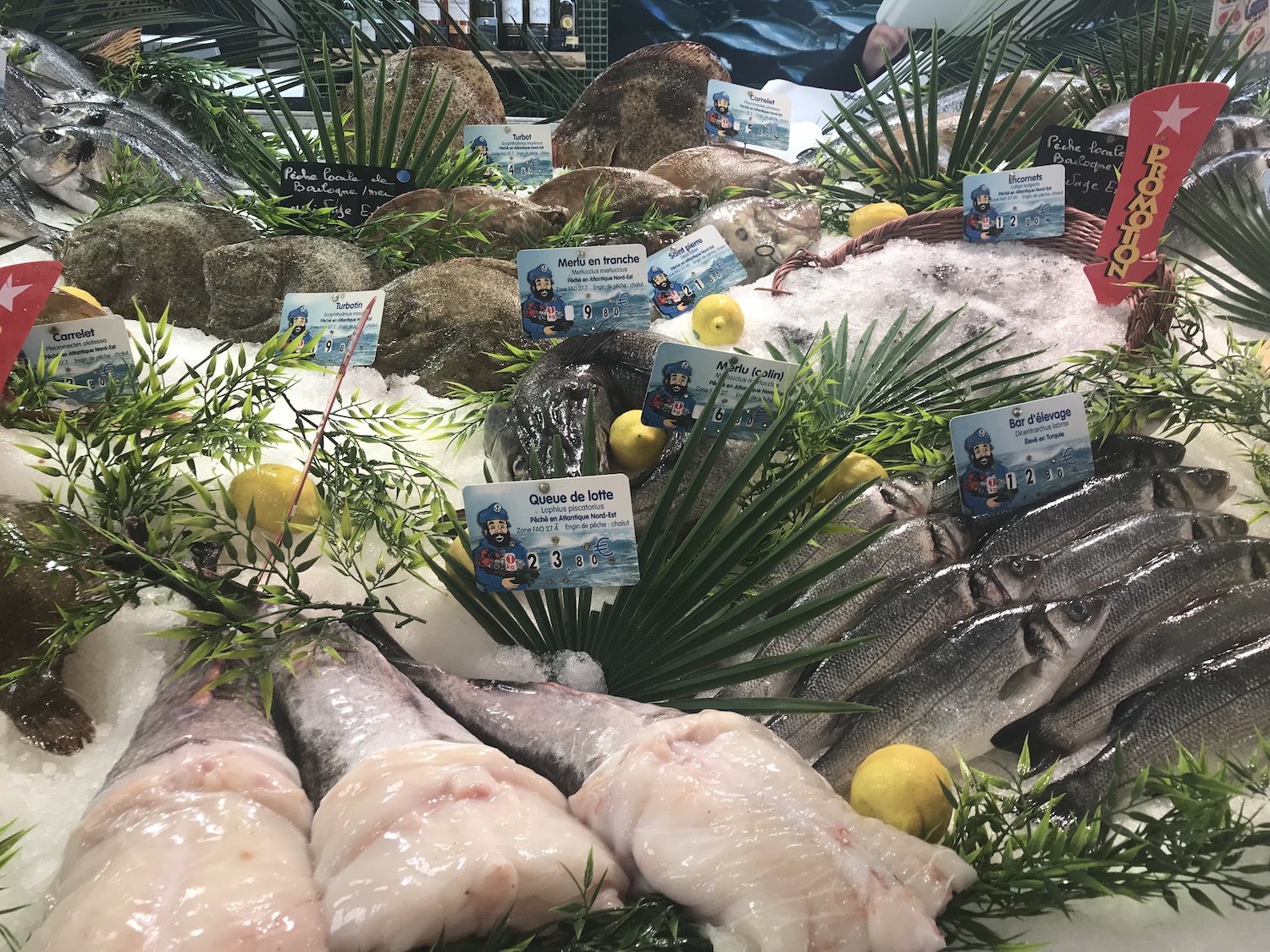 Le Touquet Paris-Plage markt