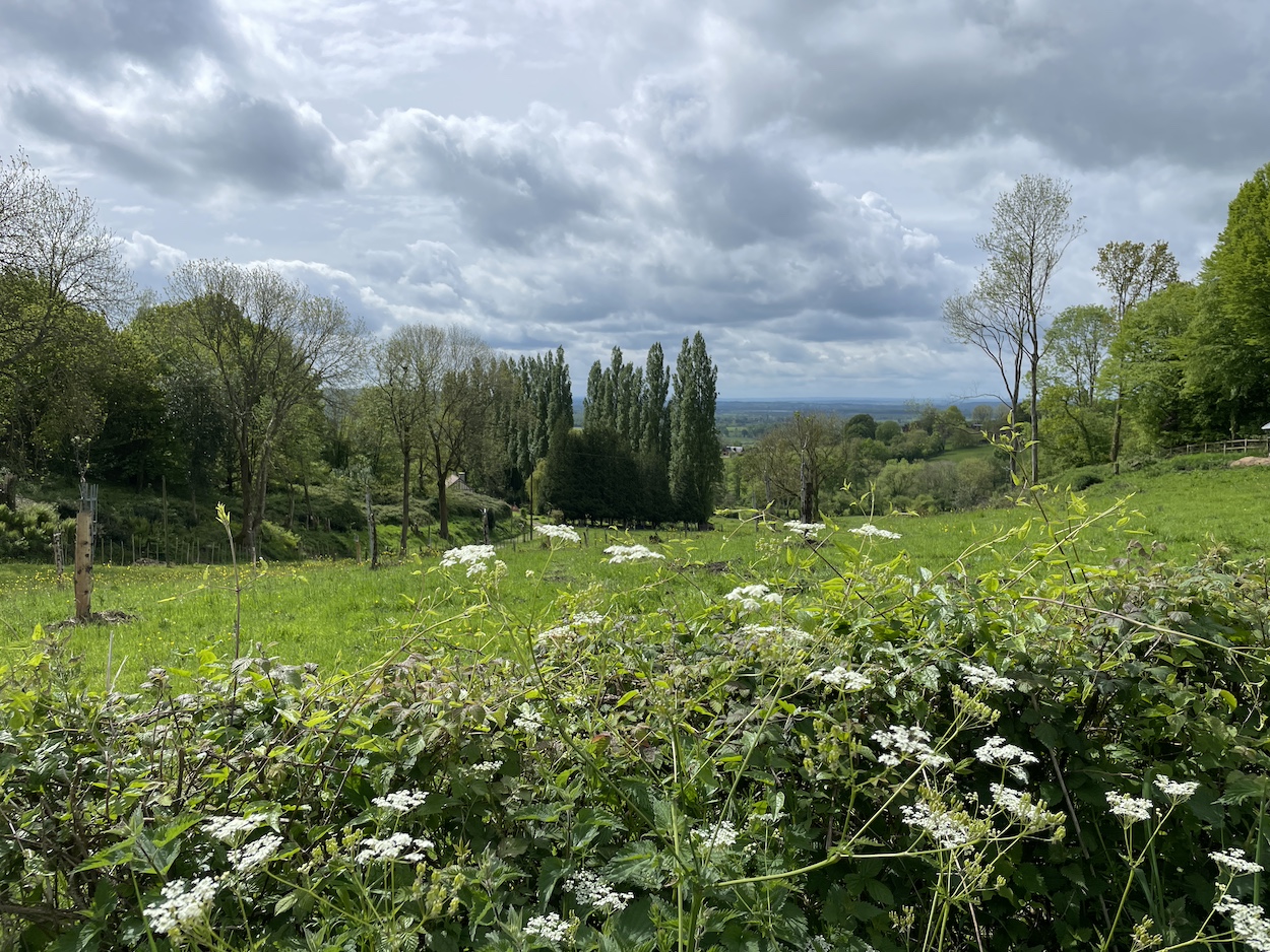 Route-du-Cidre-Pays-d-Auge