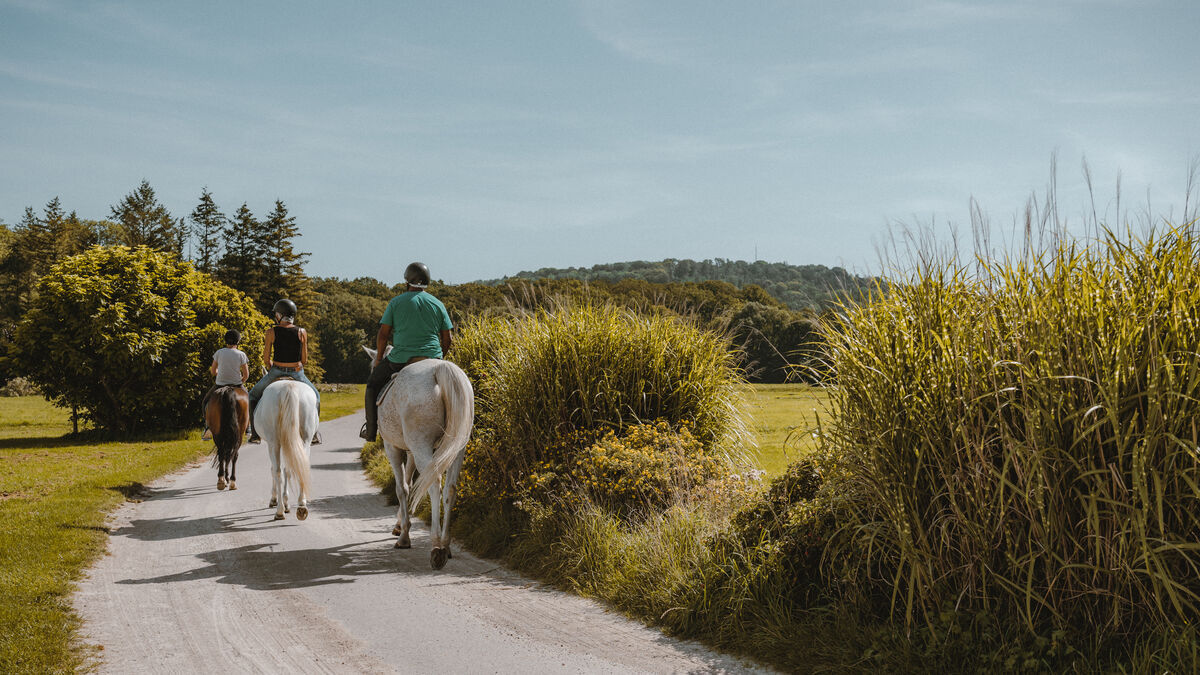 Club Med Vittel Vogezen paardrijden