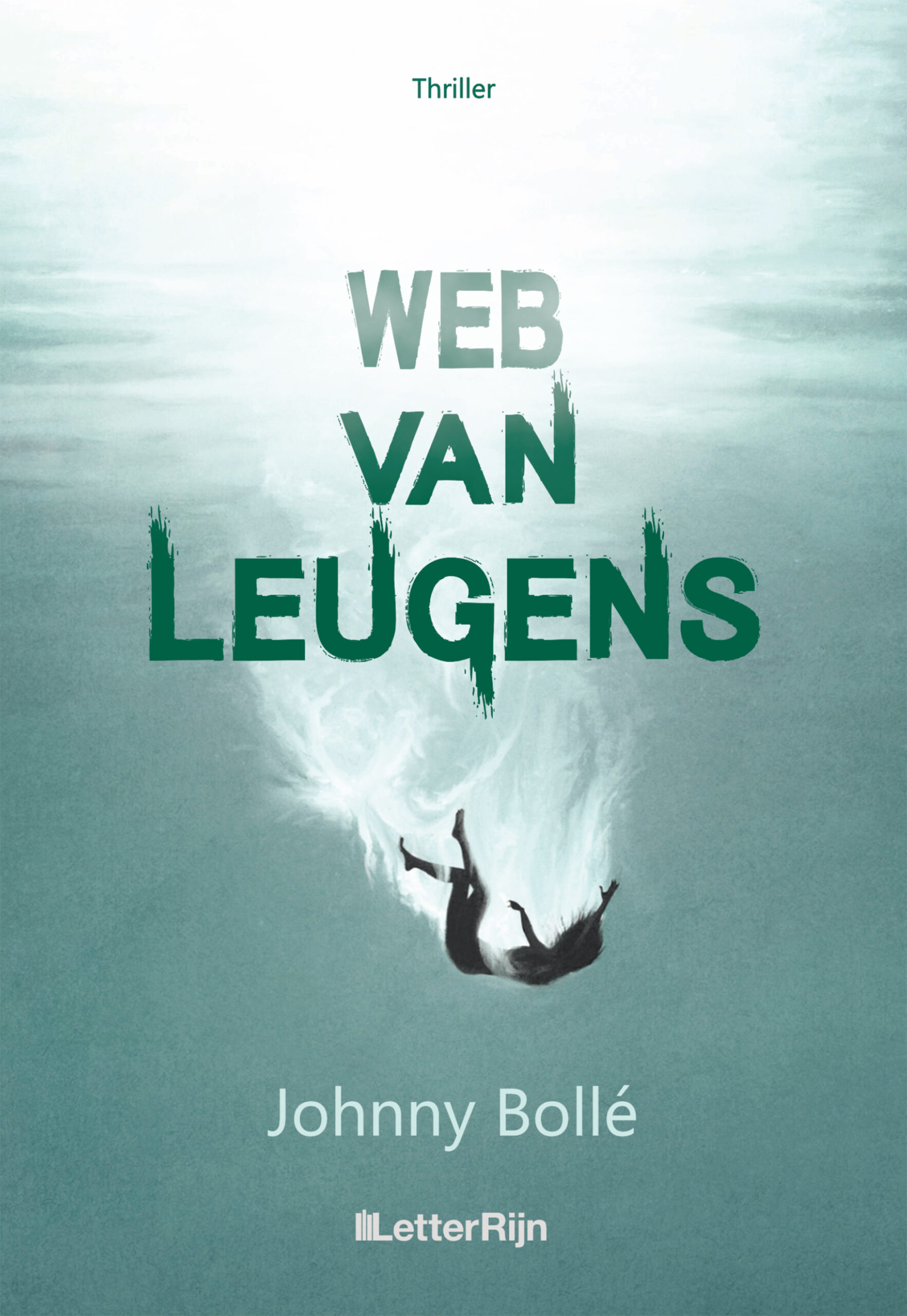 Web van leugens thriller 2024